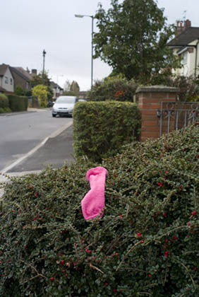 Pink Sock